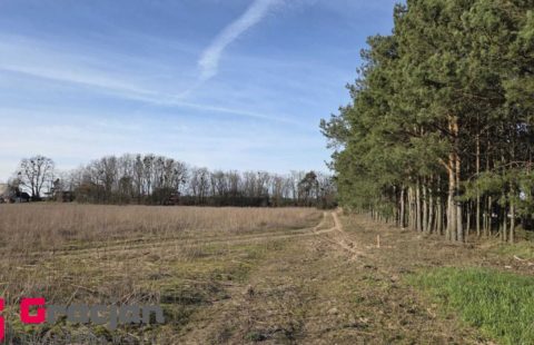 Osiedle Zachodnie – SŁonawy / NowoŁoskoniec