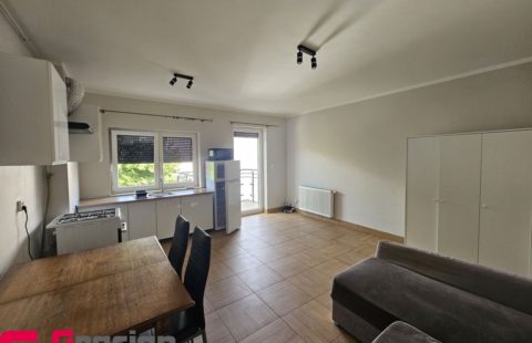 Kawalerka Z Hala Garazowa W Centrum